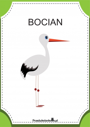 Bocian-1