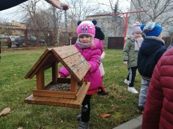 IMG_20201127_110748