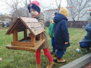 IMG_20201127_110801