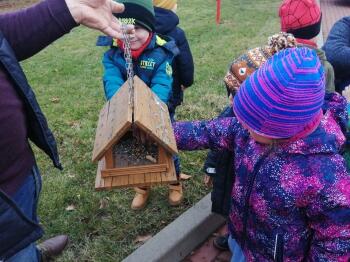 IMG_20201127_110831