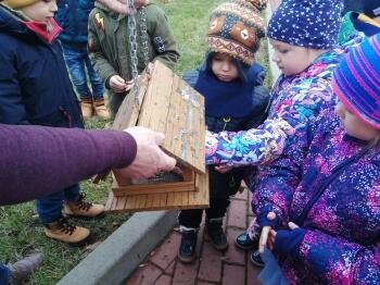 IMG_20201127_110851