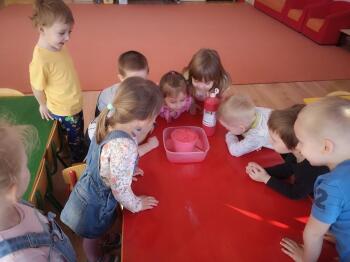IMG_20210226_092619