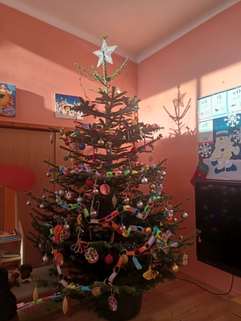 IMG20241213123509