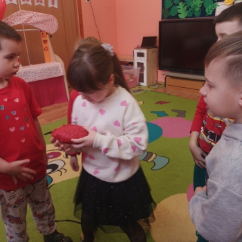 IMG20250214091729