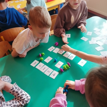 IMG20250226111059