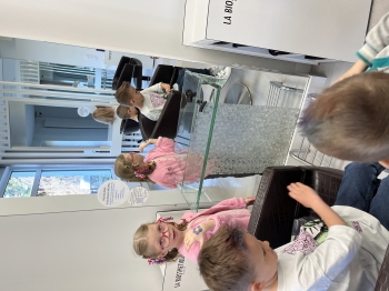 IMG_7288.jpeg