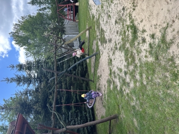 IMG_5566.jpeg