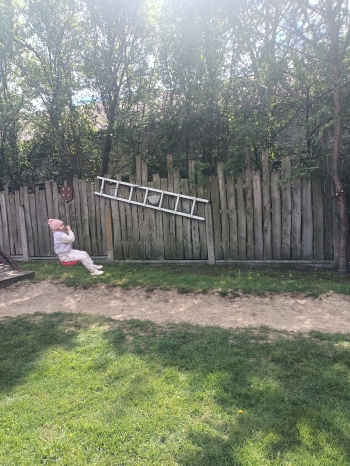 IMG20250508115353