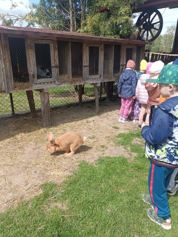 IMG20250508115041