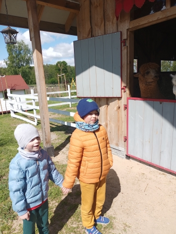 IMG20250508104142
