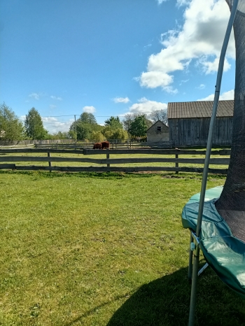 IMG20250508102043