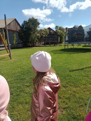 IMG20250508101246
