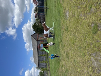 IMG_7628.jpeg