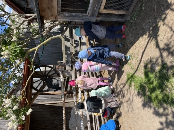 IMG_7655.jpeg