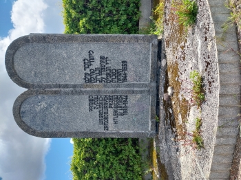 20250515_110259