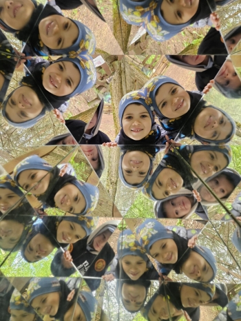w31.jpeg