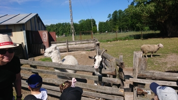DSC_3355.JPG