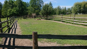 DSC_3390.JPG