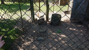 DSC_3415.JPG