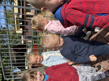 IMG_9880.jpeg