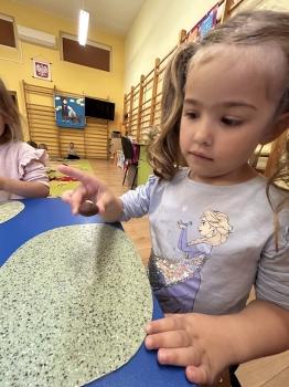 IMG_6750.jpeg