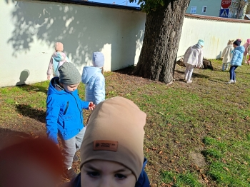 .trashed-1761990087-IMG20251002111343