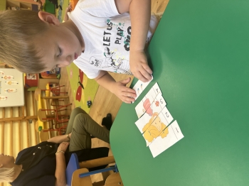 IMG_6903.jpeg