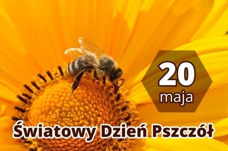 Dzień pszczoły