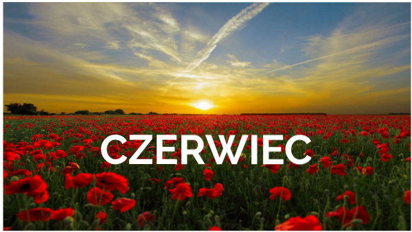 Zamierzenia dydaktyczno - wychowawcze na miesiąc czerwiec