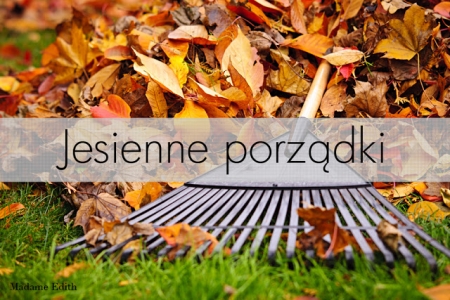 JESIENNE PORZĄDKI