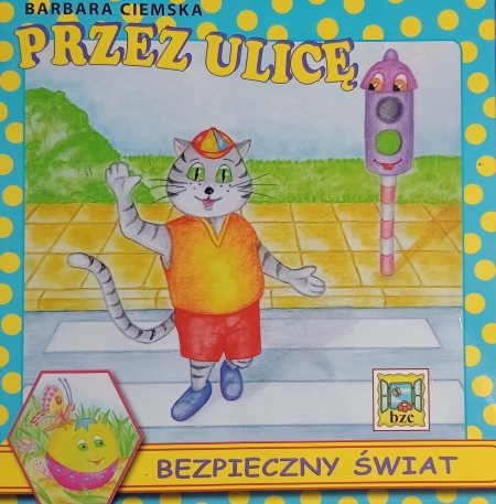 BEZPIECZNY ŚWIAT - PROGRAM AUTORSKI