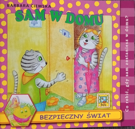 BEZPIECZNY ŚWIAT - PROGRAM AUTORSKI