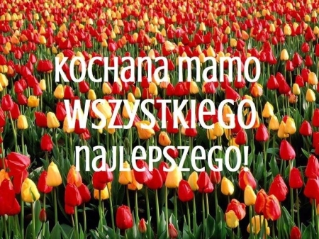 MOJA KOCHANA MAMA-PORTRET MAMY