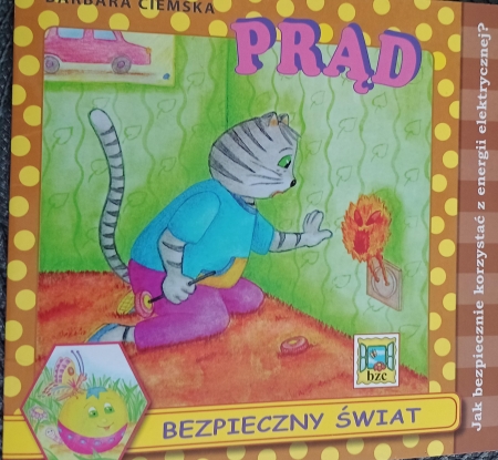 BEZPIECZNY ŚWIAT - PROGRAM AUTORSKI