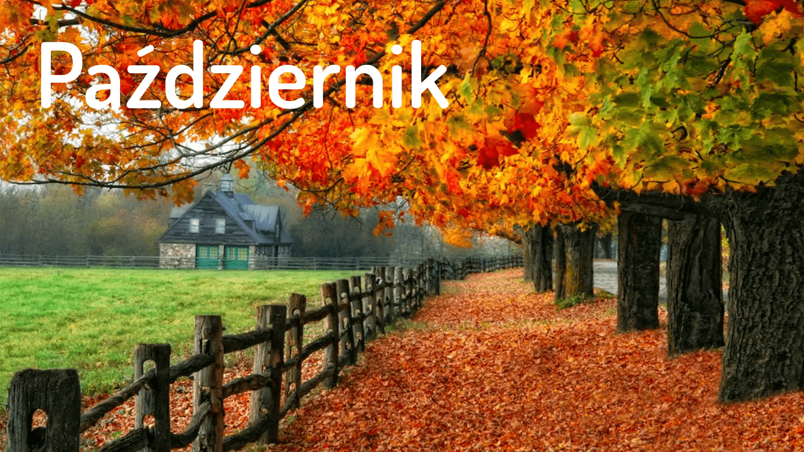 Zamierzenia  dydaktyczno - wychowawcze na miesiąc październik 