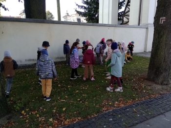 IMG_20251001_095404879_MFNR