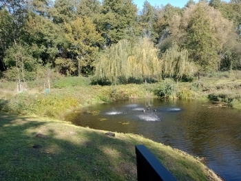 IMG_20251001_102222739_MFNR