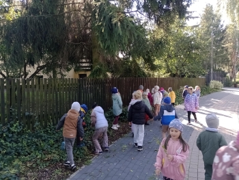 IMG_20251001_102437489_MFNR