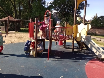 IMG_20251001_103348623_MFNR