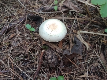 IMG_20251003_112505394_MFNR