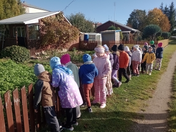 IMG_20251013_101716987_MFNR