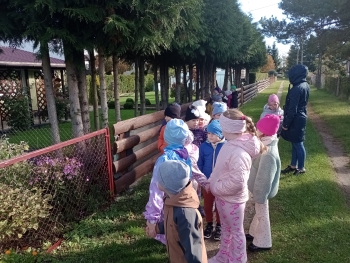 IMG_20251013_101945491_MFNR