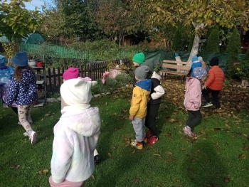 IMG_20251013_102848463_MFNR