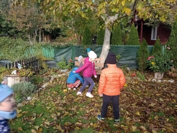 IMG_20251013_102855331_MFNR