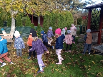 IMG_20251013_102911305_MFNR