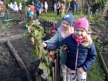 IMG_20251013_103001646_MFNR