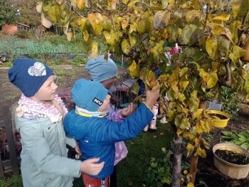 IMG_20251013_103024124_MFNR