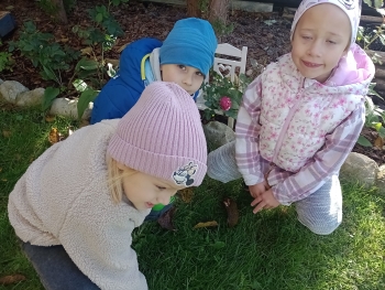 IMG_20251013_103959332_MFNR