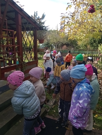 IMG_20251013_104346987_MFNR