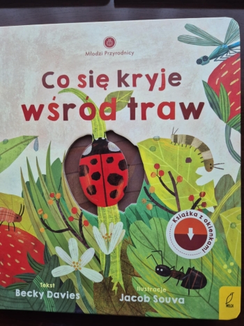 62e6f584-aef8-46a6-9794-fdcac9f4fd80